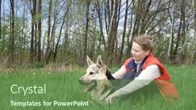  Presentation with grass - Amazing presentation theme having woman-sitting-with-alsatian-dog backdrop and a tawny brown colored foreground
