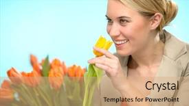  Presentation with pencils blue one yellow - Cool new PPT theme with woman smelling one yellow tulip backdrop and a  colored foreground