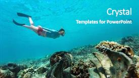  Presentation with clams - Audience pleasing PPT layouts consisting of woman snorkeling and free diving backdrop and a teal colored foreground