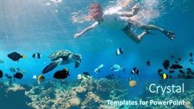  Presentation with fish turtle - Presentation design featuring woman-snorkeling-in-clear-tropical background and a ocean colored foreground