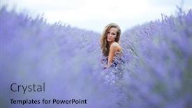  Presentation with lavender - Audience pleasing PPT layouts consisting of woman standing on a lavender field backdrop and a light blue colored foreground