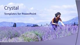  Presentation with lavender - Cool new slides with woman standing on a lavender field backdrop and a sky blue colored foreground