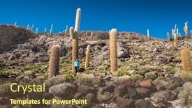  Presentation with cactus - Beautiful PPT theme featuring woman-stands-near backdrop and a tawny brown colored foreground