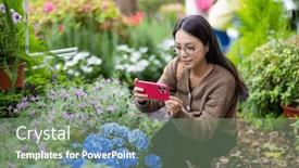  Presentation with take - PPT layouts consisting of woman-take-photo-on-cellphone background and a gray colored foreground