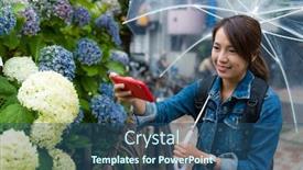  Presentation with hydrangea - Cool new PPT theme with woman-take-photo-on-hydrangea backdrop and a ocean colored foreground