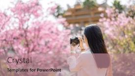  Presentation with chinese temple - Theme with woman-take-photo-on-sakura background and a coral colored foreground
