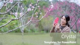  Presentation with sakura - PPT theme consisting of woman-take-photo background and a mint green colored foreground