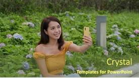  Presentation with hydrangea - Presentation theme consisting of woman-take-selfie-on-cellphone background and a tawny brown colored foreground