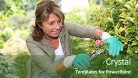  Presentation with senior care - Audience pleasing slide deck consisting of woman taking care of flowers backdrop and a  colored foreground