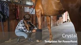  Presentation with horse - Presentation design enhanced with woman-taking-care background and a dark gray colored foreground