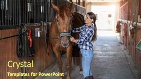  Presentation with horse - Presentation consisting of woman-taking-care background and a tawny brown colored foreground