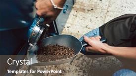  Presentation with coffee beans - Audience pleasing slides consisting of woman-taking-coffee-beans-out backdrop and a violet colored foreground