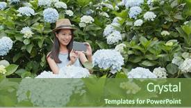  Presentation with hydrangea - PPT theme having woman taking photo and video background and a tawny brown colored foreground