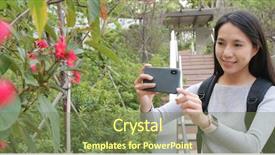  Presentation with photo album of journey honeymoon - Presentation theme with woman taking photo on flower background and a violet colored foreground