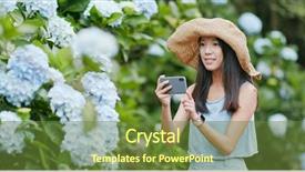  Presentation with hydrangea - Amazing theme having woman taking photo on hydrangea backdrop and a tawny brown colored foreground
