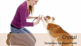  Presentation with paw - Audience pleasing slides consisting of woman teaching english bulldog backdrop and a yellow colored foreground