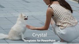  Presentation with train - Colorful theme enhanced with woman-train-her-pomeranian-dog backdrop and a gray colored foreground