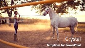  Presentation with white horse - Presentation enhanced with woman-trainig-her-white-horse background and a tawny brown colored foreground