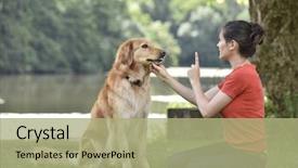 Presentation with dog park - Beautiful presentation featuring woman training dog backdrop and a mint green colored foreground