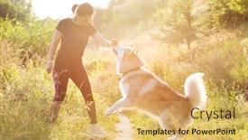  Presentation with training - Presentation consisting of woman-training-domestic-dog background and a yellow colored foreground