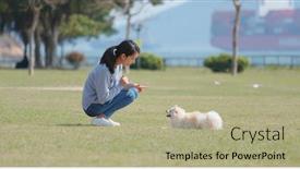  Presentation with dog park - Cool new PPT theme with woman training with her dog with snack at park backdrop and a mint green colored foreground