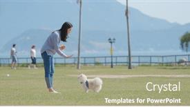  Presentation with dog park - Slides enhanced with woman training with her dog with snack at outdoor park background and a mint green colored foreground