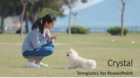  Presentation with dog park - Colorful presentation design enhanced with woman training with her dog backdrop and a mint green colored foreground
