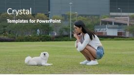  Presentation with trains - Colorful theme enhanced with woman-trains-her-dog backdrop and a gray colored foreground