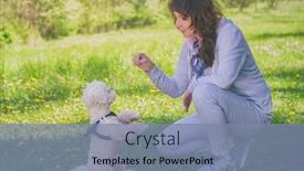  Presentation with trains - Amazing presentation design having woman-trains-her-white-maltese backdrop and a seafoam green colored foreground