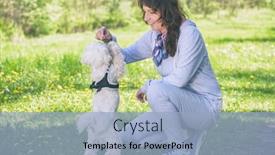  Presentation with trains - Presentation theme consisting of woman-trains-her-white-maltese background and a light blue colored foreground