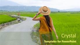  Presentation with paddy field - Presentation theme consisting of woman-traveler-enjoy-the-view background and a tawny brown colored foreground