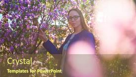  Presentation with beautiful spring flowers - Presentation theme consisting of woman-travelling-in-altai-mountains background and a tawny brown colored foreground