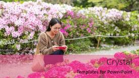  Presentation with hydrangea - Presentation theme having woman-use-cellphone-to-take background and a coral colored foreground