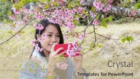  Presentation with sakura - Presentation design featuring woman-use-cellphone-to-take background and a soft green colored foreground