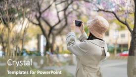  Presentation with sakura - Presentation theme featuring woman-use-cellphone-to-take background and a gray colored foreground
