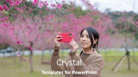  Presentation with take - Presentation theme consisting of woman-use-cellphone-to-take background and a violet colored foreground