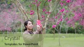  Presentation with mobile use - Presentation theme featuring woman-use-of-mobile-phone background and a mint green colored foreground