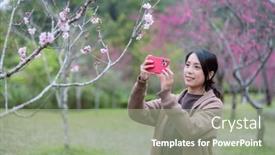  Presentation with sakura - PPT theme consisting of woman-use-photo-to-take background and a mint green colored foreground