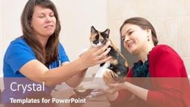  Presentation with vet - Amazing presentation having woman vet consults cat owner in clinic backdrop and a coral colored foreground