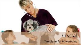  Presentation with poodle - Presentation theme featuring woman veterinarian giving poodle a check-up while curious children look background and a coral colored foreground