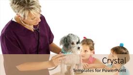  Presentation with poodle - Colorful PPT layouts enhanced with woman veterinarian giving poodle a check-up while curious children look backdrop and a coral colored foreground
