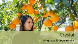  Presentation with farm - 