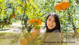  Presentation with farm - Slide deck enhanced with woman-visit-organic-oranger-farm background and a gold colored foreground