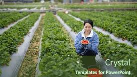  Presentation with strawberry - 