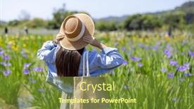  Presentation with iris flower - Presentation featuring woman-visit-the-flower-field background and a tawny brown colored foreground
