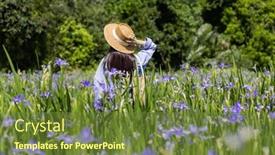  Presentation with iris flower - PPT theme enhanced with woman-visit-the-flower-field background and a tawny brown colored foreground