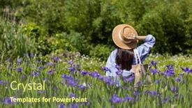  Presentation with iris flower - 