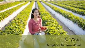  Presentation with strawberry - Presentation featuring woman-visit-the-strawberry-farm and a  colored foreground