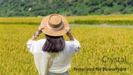  Presentation with rice field - PPT theme consisting of woman-visit-the-yellow-rice background and a gold colored foreground
