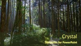  Presentation with trail - Slide set with woman-walk-along-the-hiking background and a  colored foreground